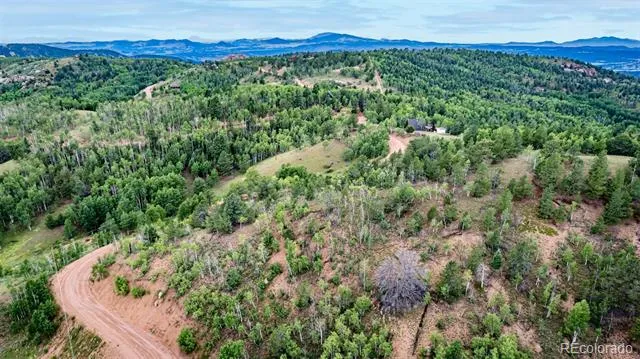 1693 Golden Cycle Circle Cripple Creek, CO 80813