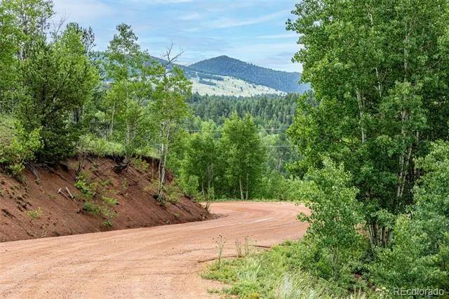 1693 Golden Cycle Circle Cripple Creek, CO 80813