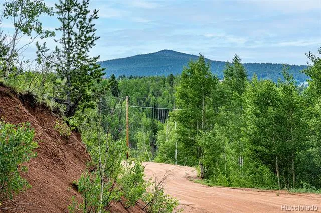 1693 Golden Cycle Circle Cripple Creek, CO 80813