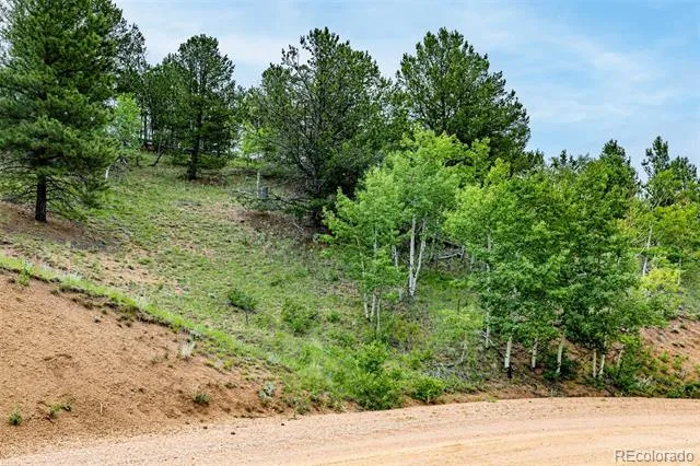 1693 Golden Cycle Circle Cripple Creek, CO 80813