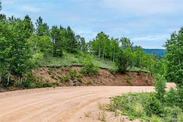 1693 Golden Cycle Circle Cripple Creek, CO 80813
