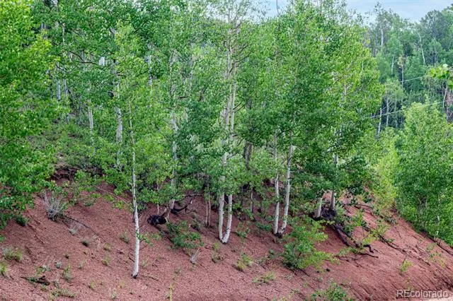 1693 Golden Cycle Circle Cripple Creek, CO 80813