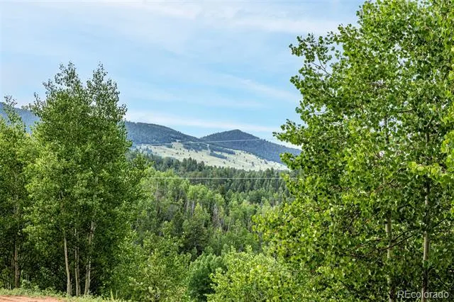 1693 Golden Cycle Circle Cripple Creek, CO 80813