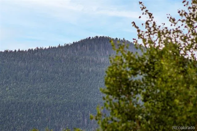 1693 Golden Cycle Circle Cripple Creek, CO 80813
