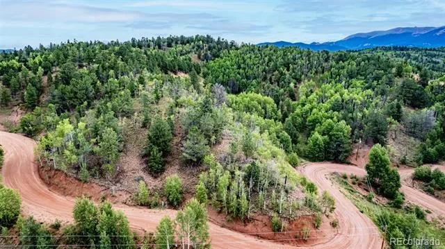 1693 Golden Cycle Circle Cripple Creek, CO 80813