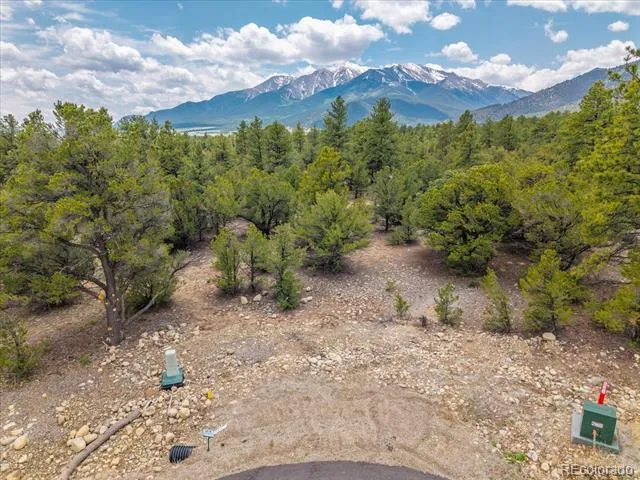 29266 Timber Ridge Buena Vista, CO 81211
