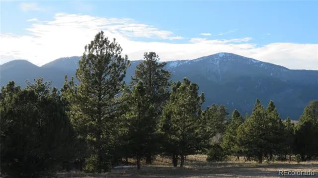 29266 Timber Ridge Buena Vista, CO 81211