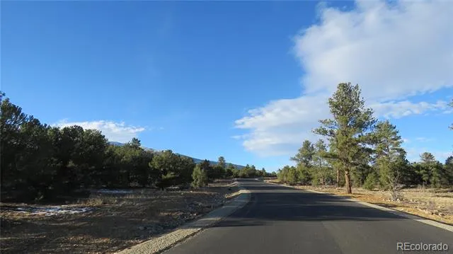29266 Timber Ridge Buena Vista, CO 81211