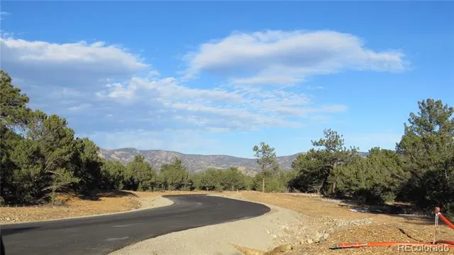 29266 Timber Ridge Buena Vista, CO 81211