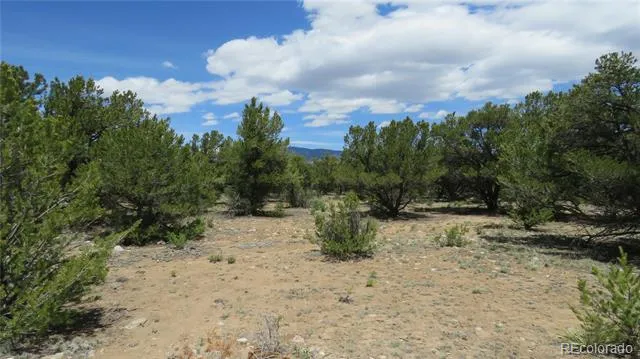 29266 Timber Ridge Buena Vista, CO 81211