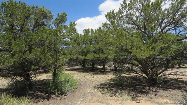 29266 Timber Ridge Buena Vista, CO 81211