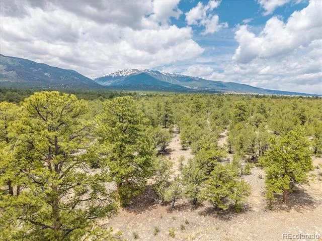 29266 Timber Ridge Buena Vista, CO 81211