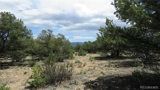 29266 Timber Ridge Buena Vista, CO 81211