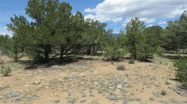 29266 Timber Ridge Buena Vista, CO 81211