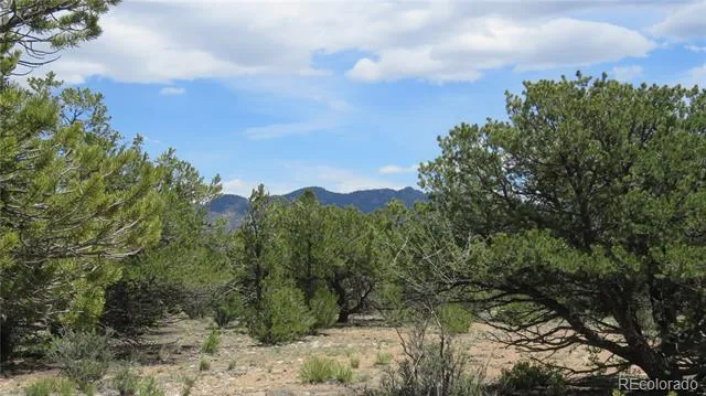 29266 Timber Ridge Buena Vista, CO 81211