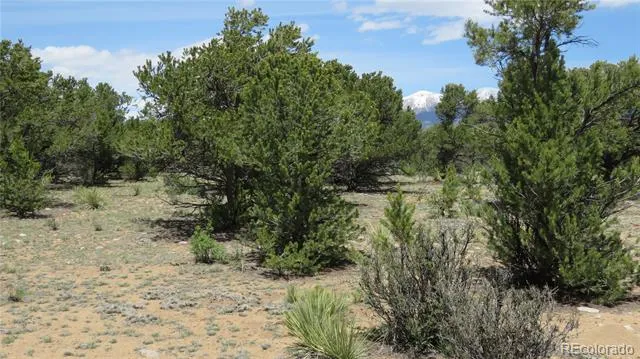 29266 Timber Ridge Buena Vista, CO 81211