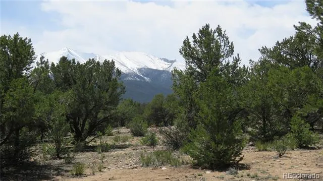 29266 Timber Ridge Buena Vista, CO 81211