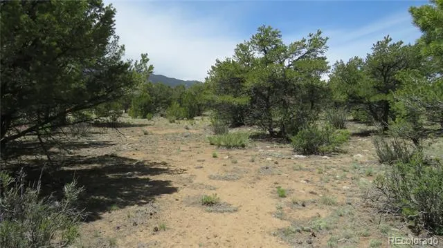 29266 Timber Ridge Buena Vista, CO 81211