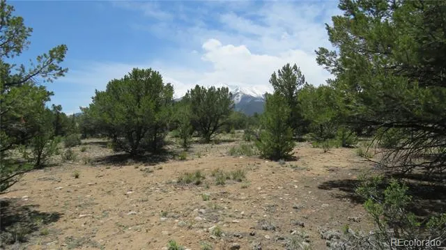 29266 Timber Ridge Buena Vista, CO 81211
