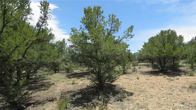 29266 Timber Ridge Buena Vista, CO 81211