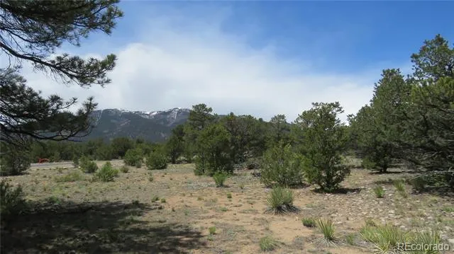 29266 Timber Ridge Buena Vista, CO 81211