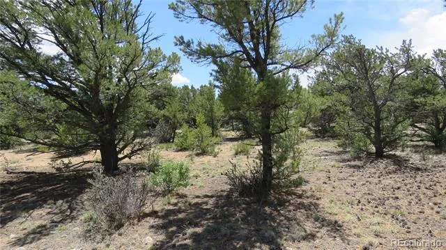 29266 Timber Ridge Buena Vista, CO 81211