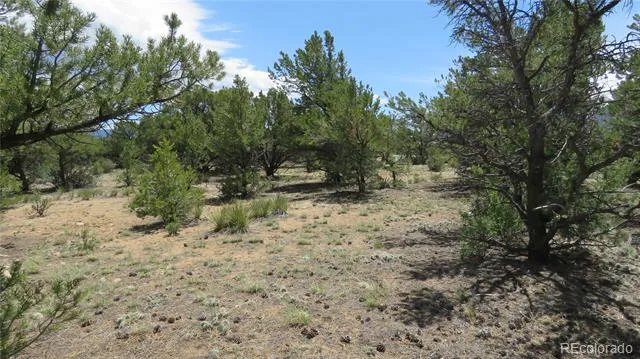 29266 Timber Ridge Buena Vista, CO 81211