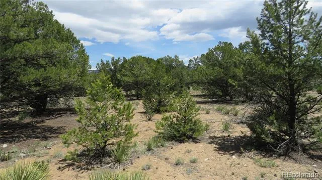 29266 Timber Ridge Buena Vista, CO 81211