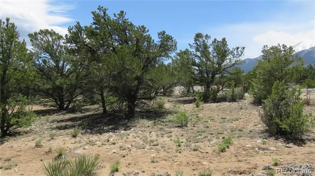 29266 Timber Ridge Buena Vista, CO 81211