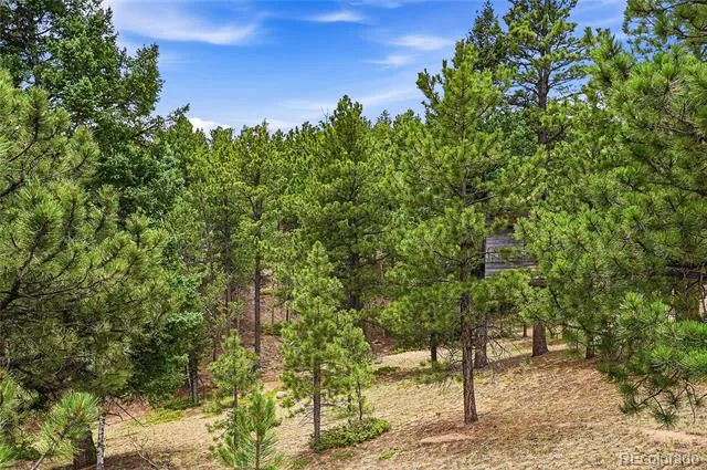 2130 & 2150 Arapahoe Street Woodland Park, CO 80863