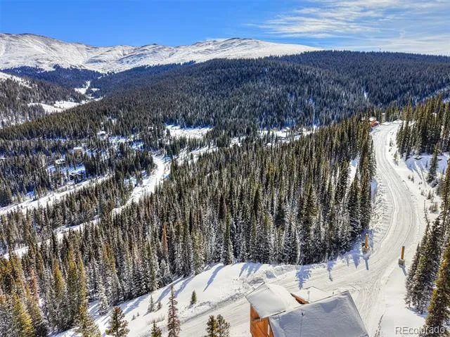 504 Carroll Lane Breckenridge, CO 80424