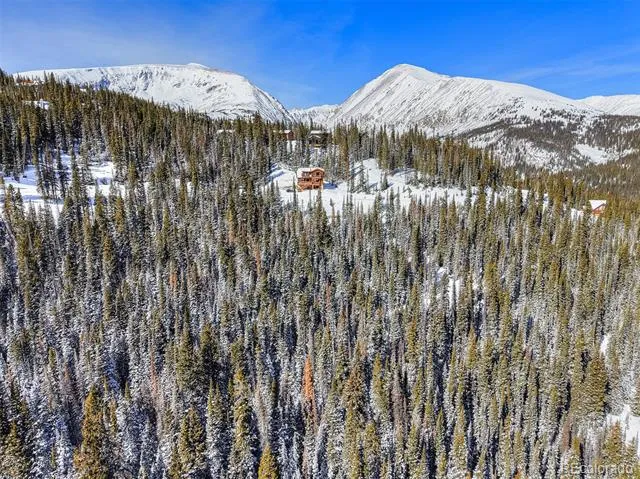 504 Carroll Lane Breckenridge, CO 80424