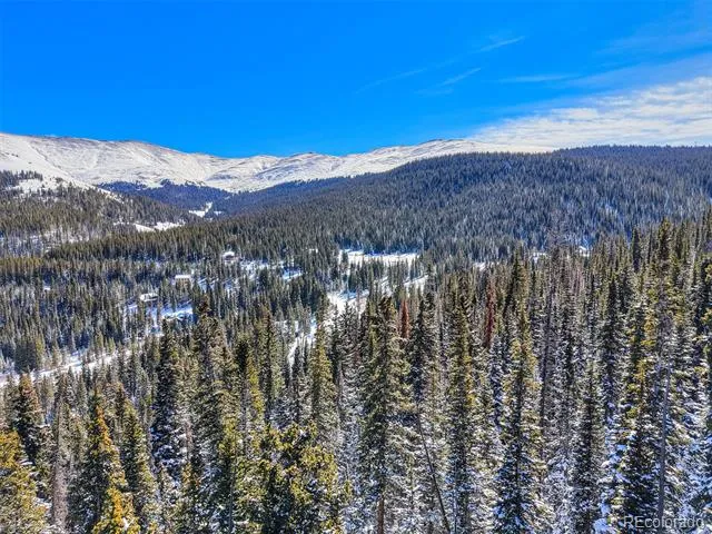 504 Carroll Lane Breckenridge, CO 80424