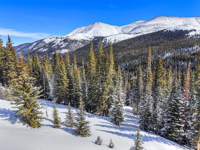 504 Carroll Lane Breckenridge, CO 80424