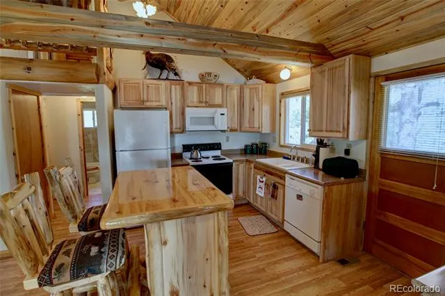 530 Red Feather Road Cotopaxi, CO 81223