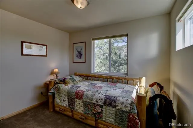 530 Red Feather Road Cotopaxi, CO 81223