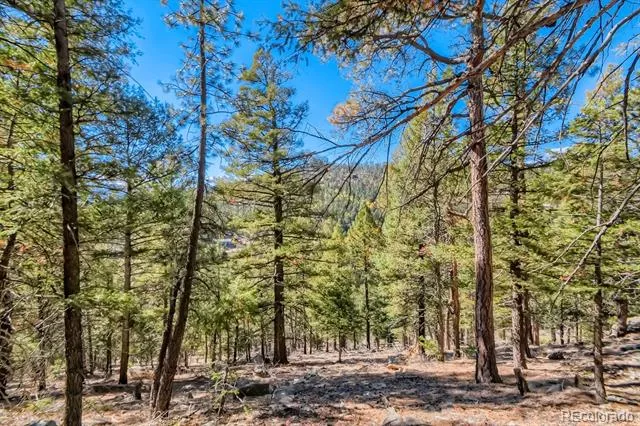 Elsie Road Conifer, CO 80433