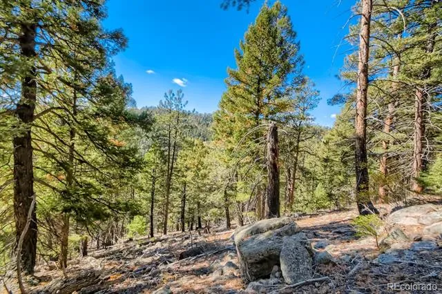 Elsie Road Conifer, CO 80433