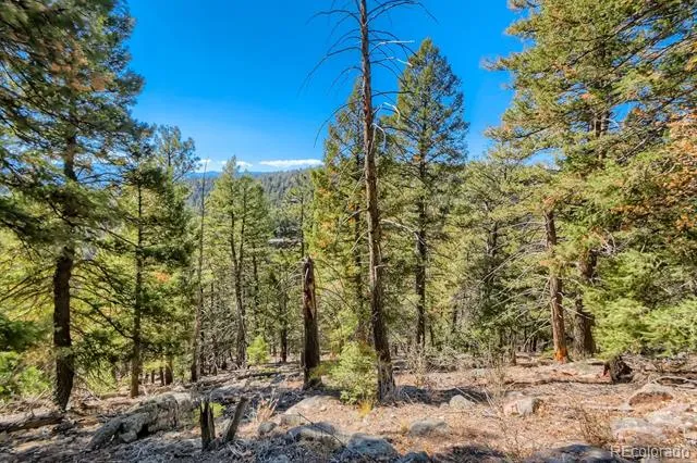 Elsie Road Conifer, CO 80433