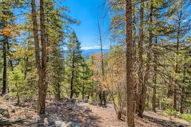 Elsie Road Conifer, CO 80433