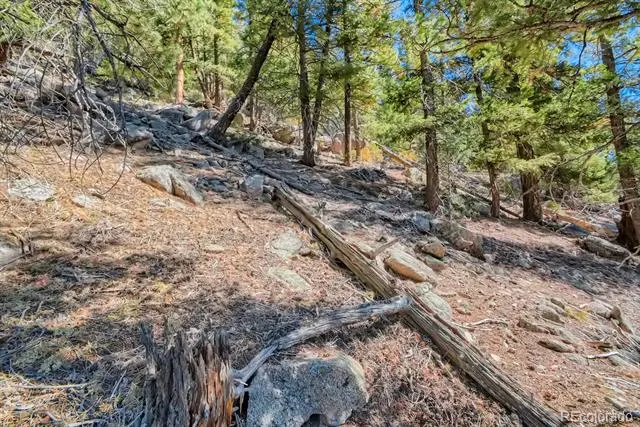 Elsie Road Conifer, CO 80433