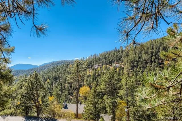 Elsie Road Conifer, CO 80433