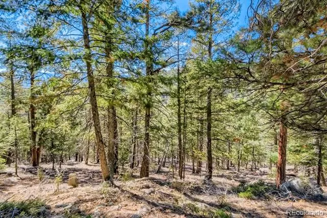 Elsie Road Conifer, CO 80433
