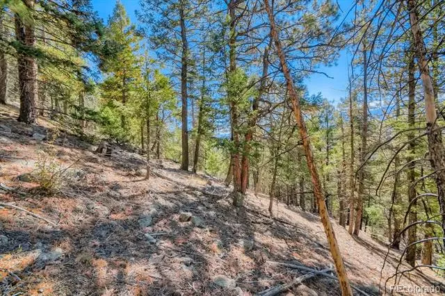 Elsie Road Conifer, CO 80433