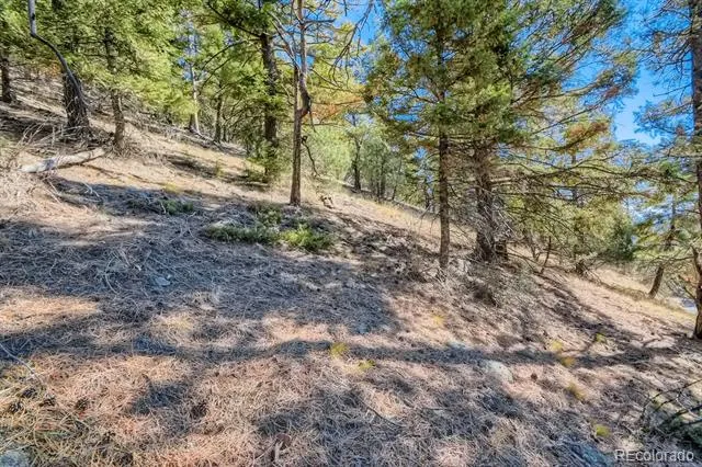 Elsie Road Conifer, CO 80433