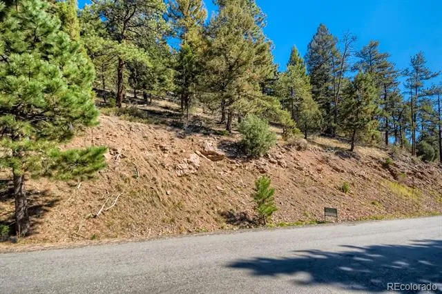 Elsie Road Conifer, CO 80433