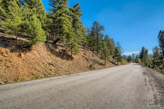 Elsie Road Conifer, CO 80433