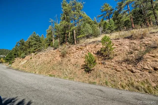 Elsie Road Conifer, CO 80433