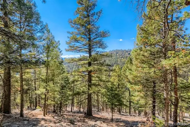 Elsie Road Conifer, CO 80433