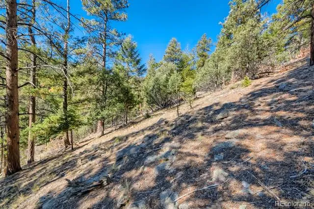 Elsie Road Conifer, CO 80433